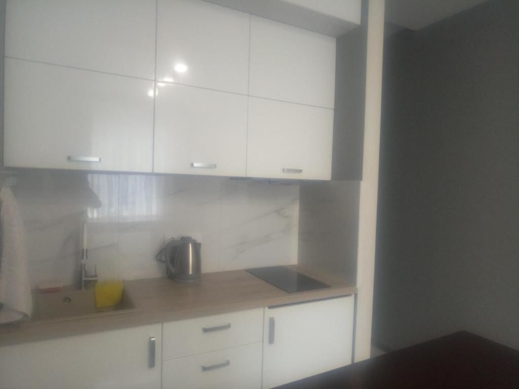 Апартаменты Апартаменты в 50 метрах от моря Одесса-23