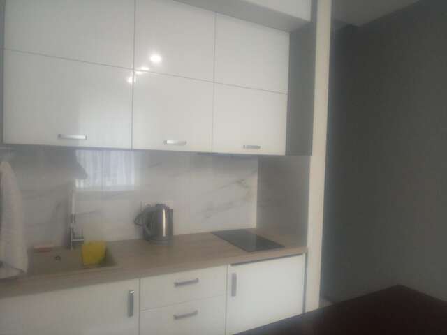 Апартаменты Апартаменты в 50 метрах от моря Одесса-12